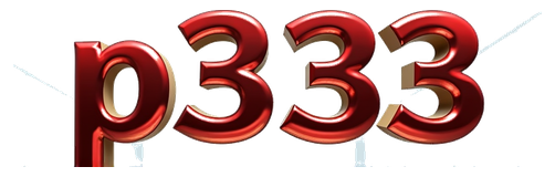 p333 logo